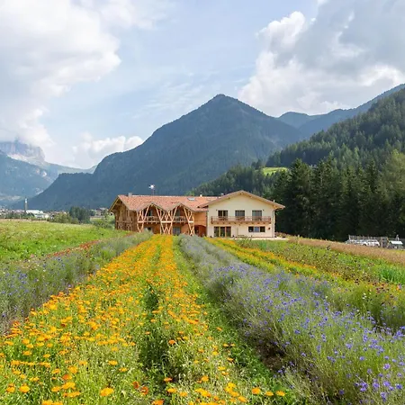 Çiftlik konaklama Eco-green Fiores Vigo di Fassa